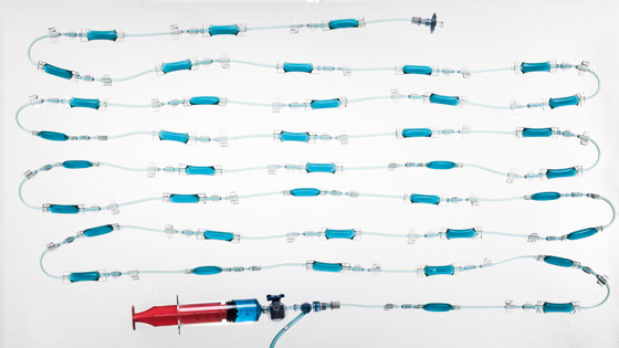 Biomeddevice COLC ramp